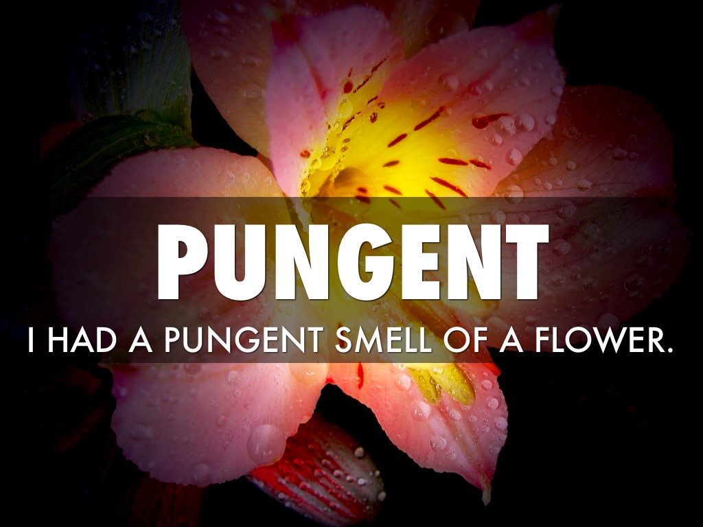 Vocabulary 2 by Justin Sherman