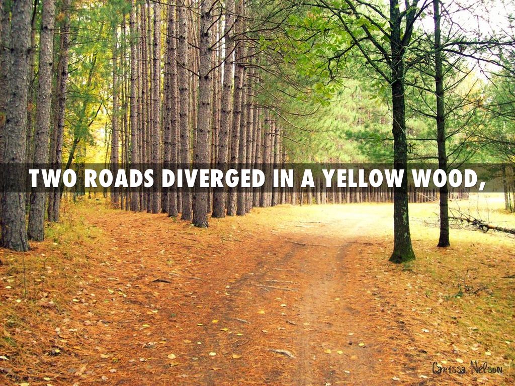 Two roads diverged in a yellow. роберт фрост другая дорога. роберт фрост развилка двух дорог. стих two roads diverged in yellow wood. Frost two roads.