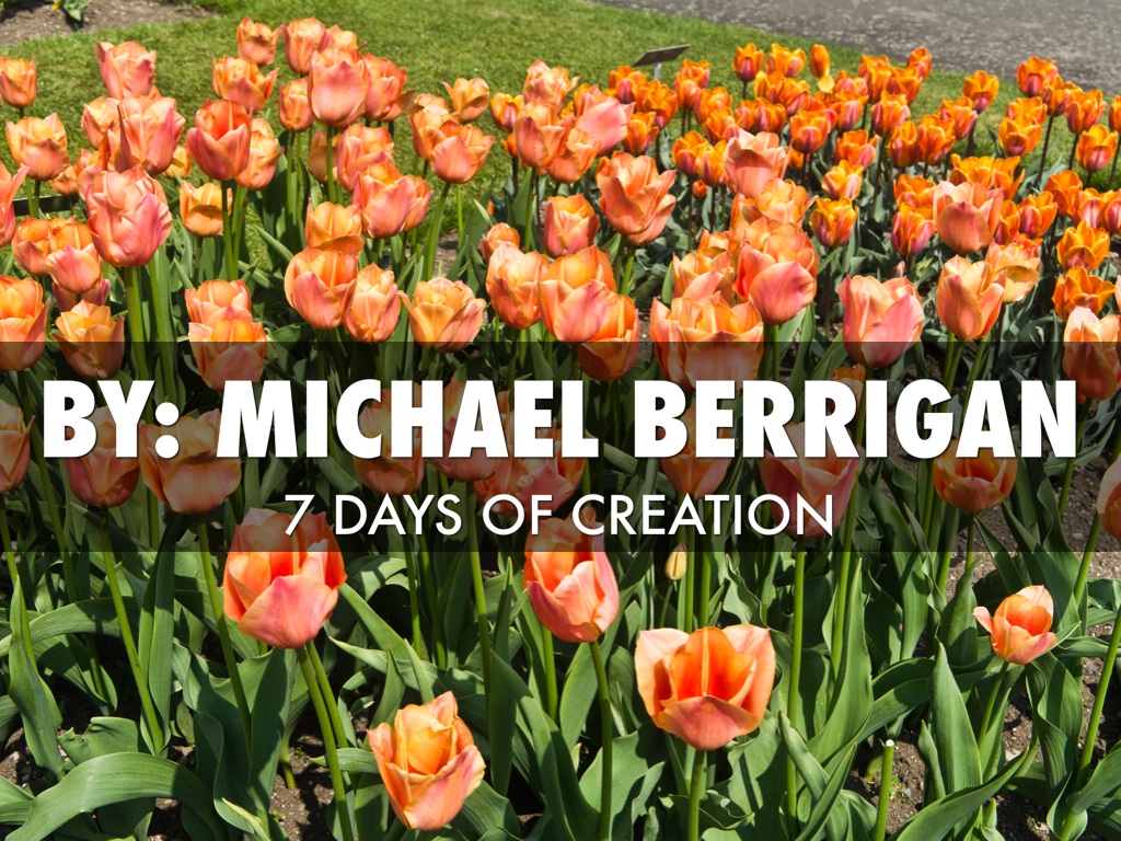 Religion Creation Days