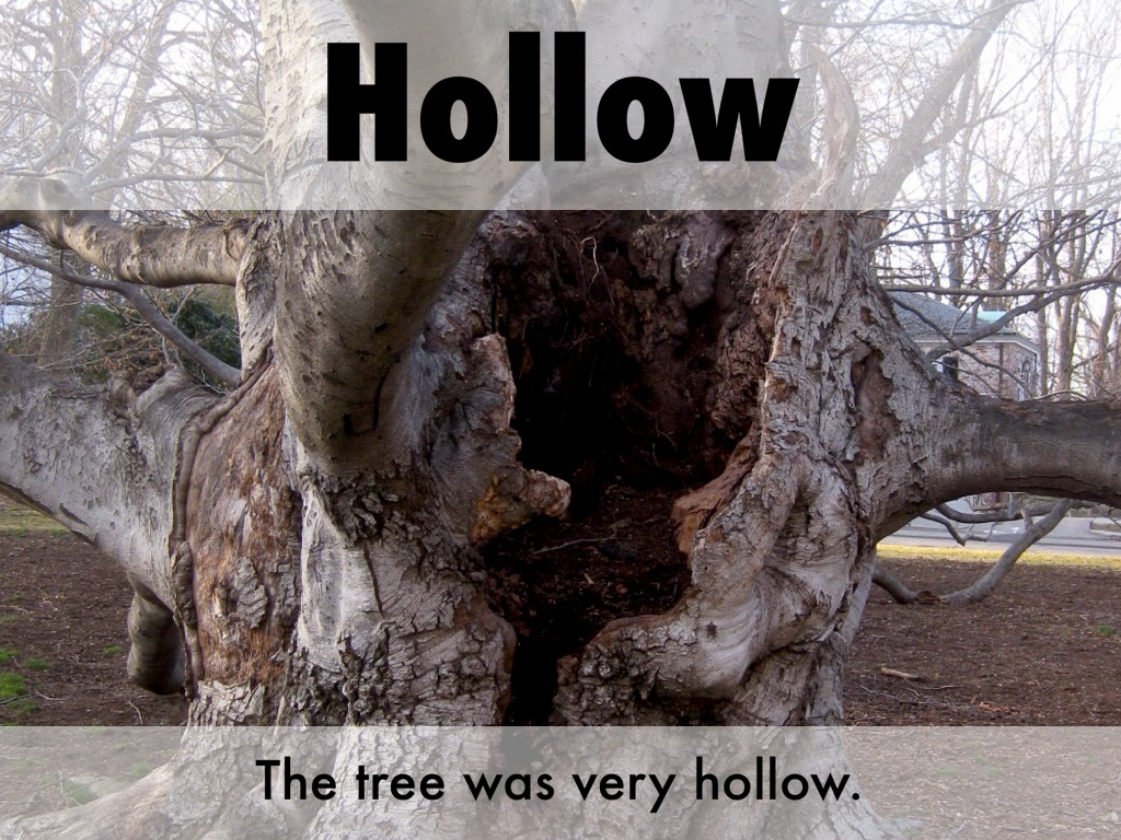 Lesson 3 English by Michael