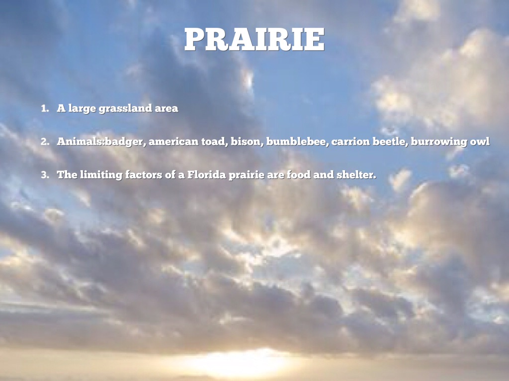 Limiting Factors: Brandon Millington