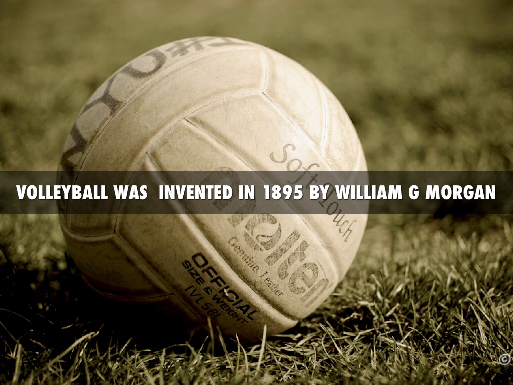 Volleyball by Bella Calvo