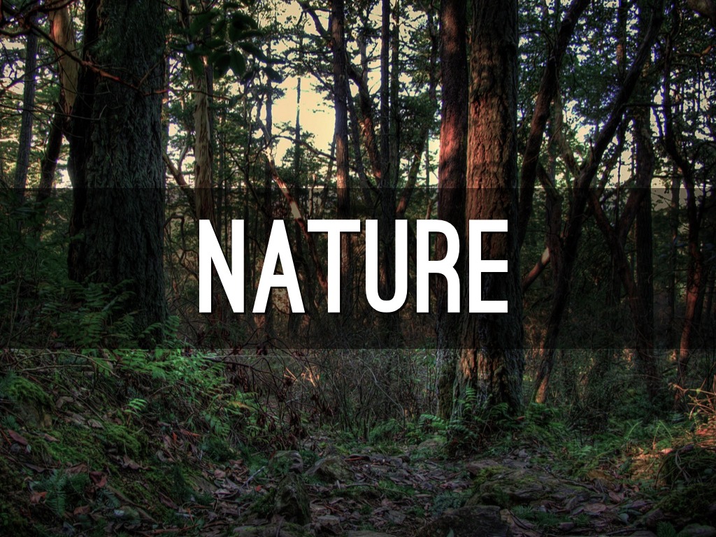 Nature