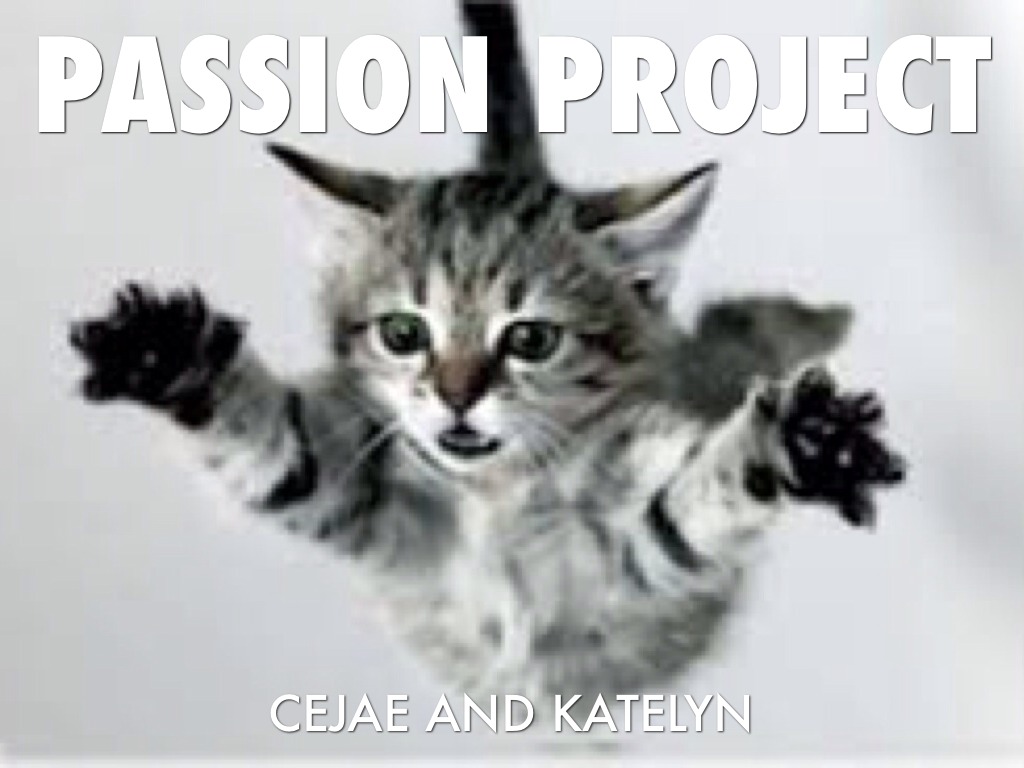 Passion Project by Cejae Pohlman, image size:1024x768
