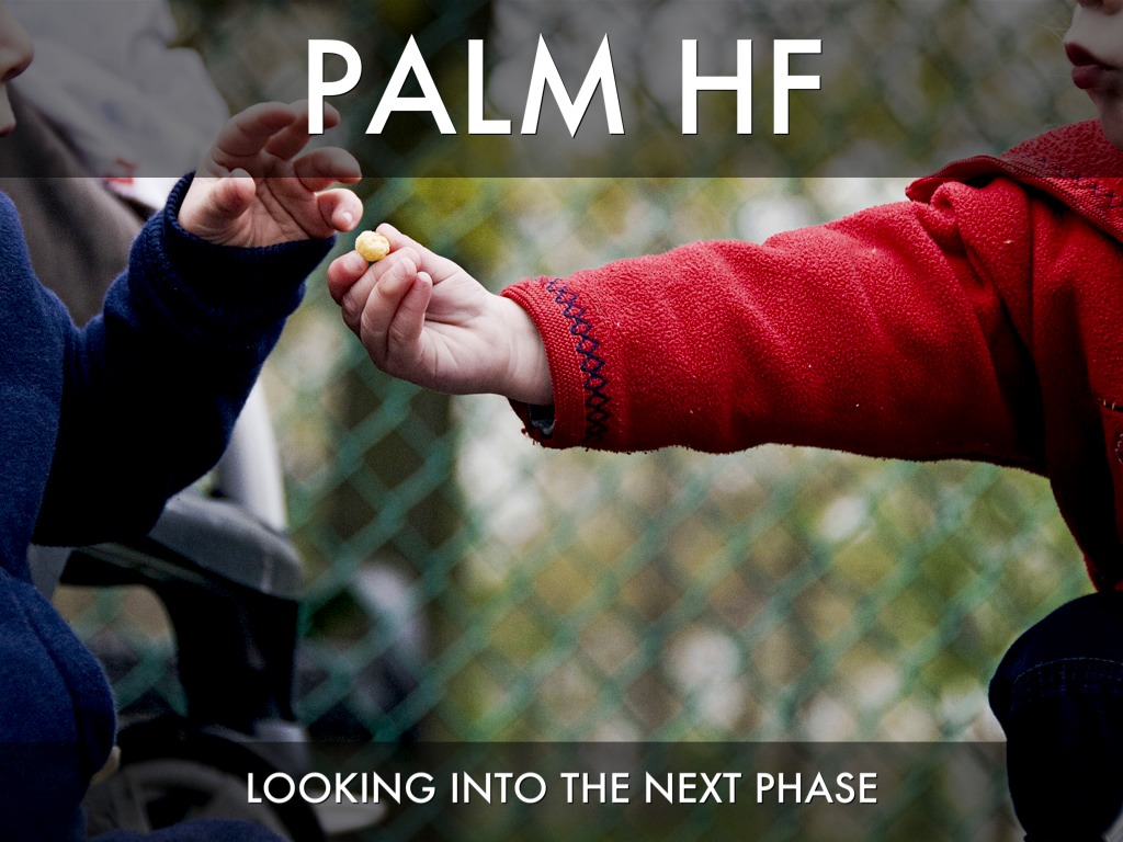Palm HF The Next Phase
