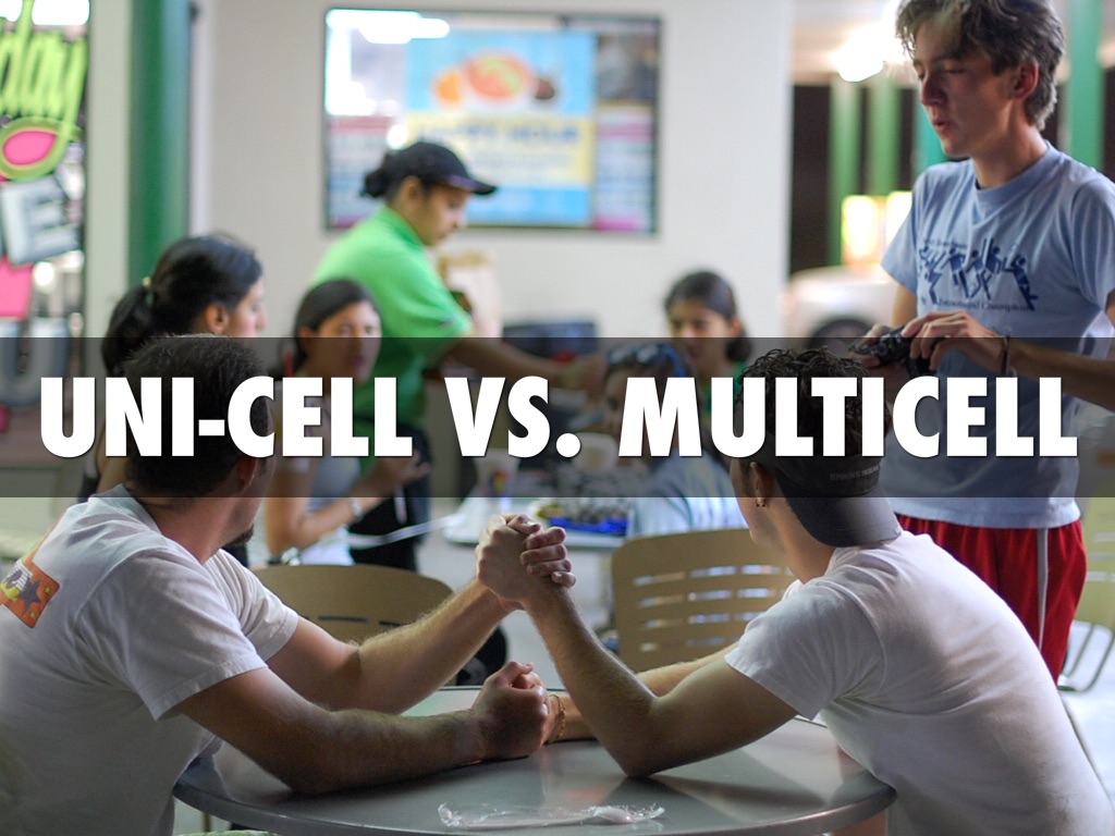 Uni-Cell Vs. Multicell