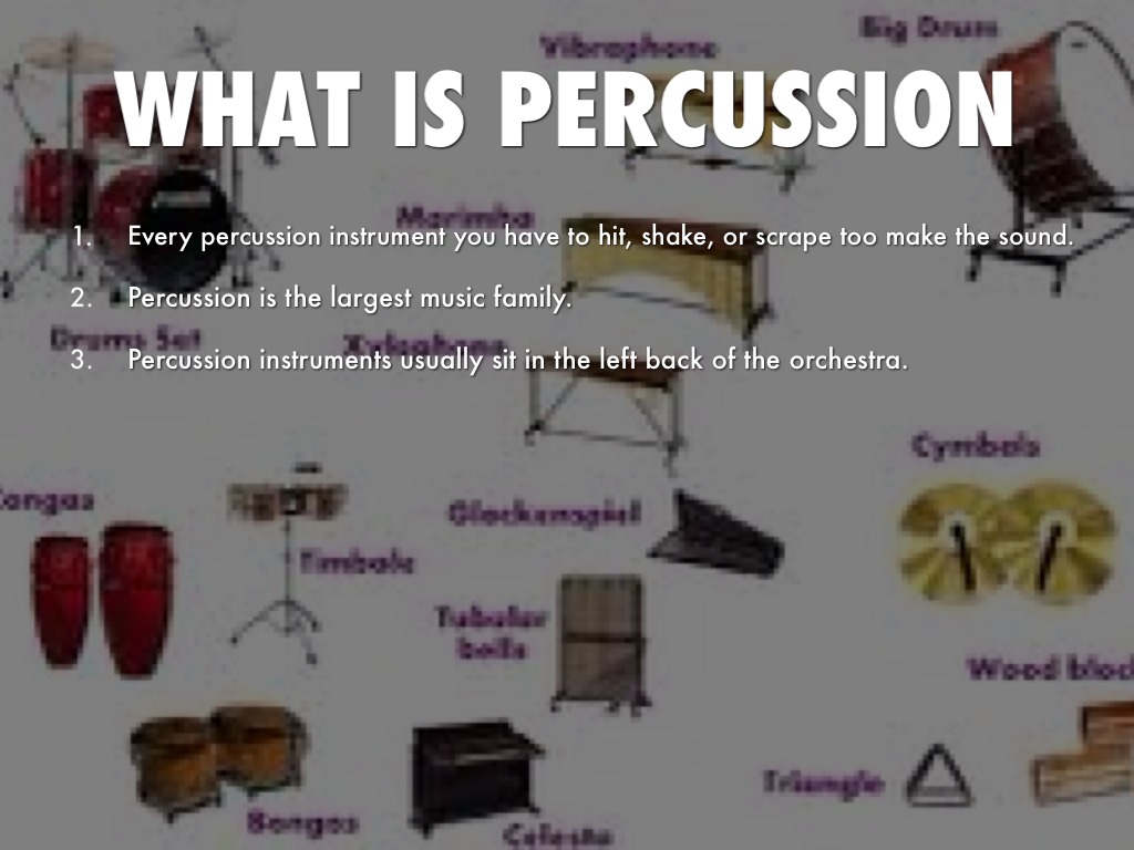 Percussion by Drew D