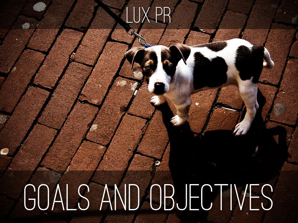 Goals and Objectives