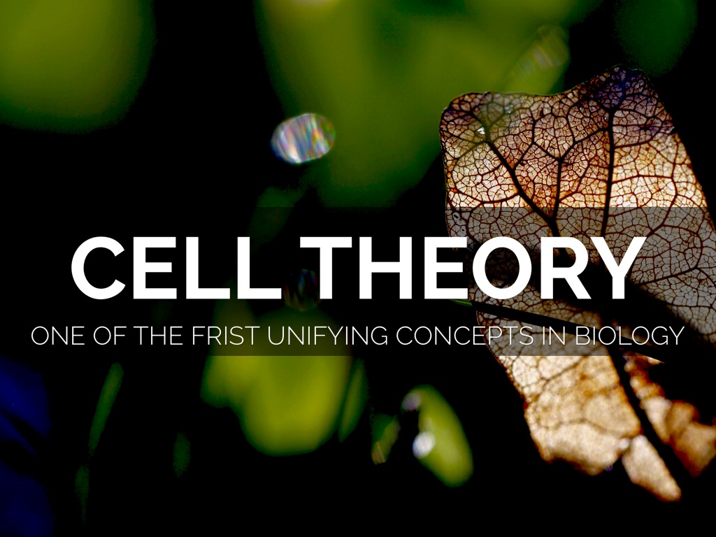 haiku on cell theory haiku on cell theory