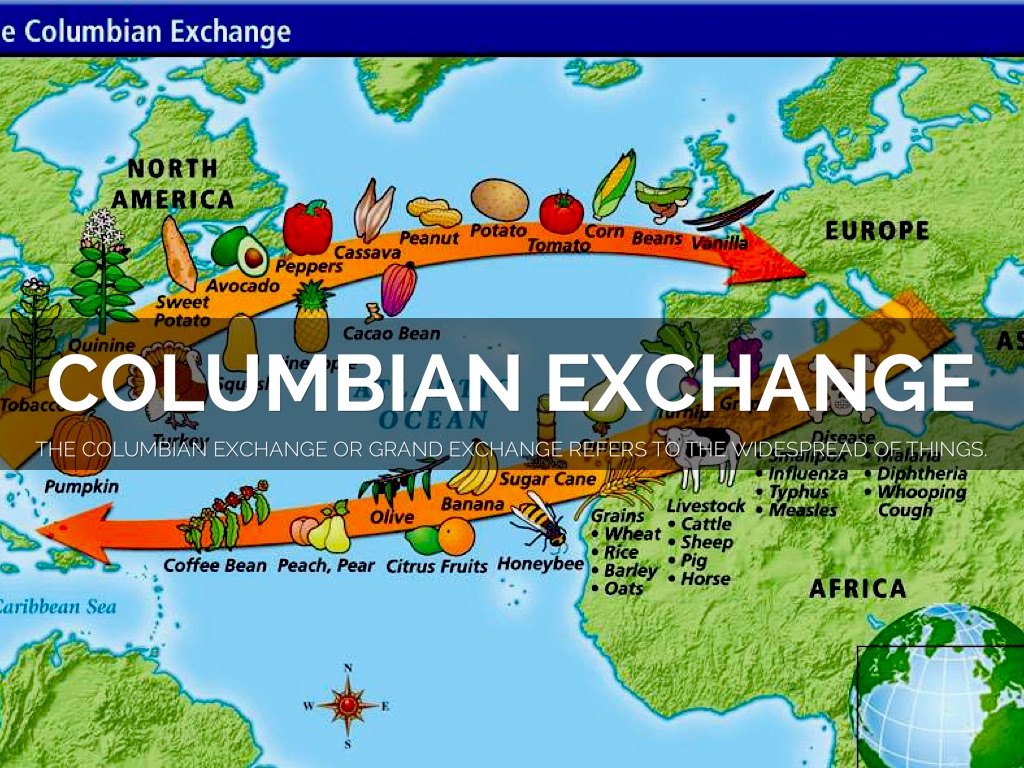 the columbian exchange alludes to the Columbian exchange dbq how did culture in the americas change as a result of exploration what were the consequences of the columbian exchange. the columbian exchange alludes to the Columbian exchange dbq how did culture in the americas change as a result of exploration what were the consequences of the columbian exchange.