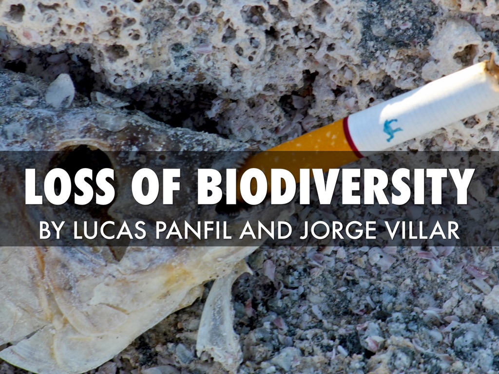 Loss Of Biodiversity 