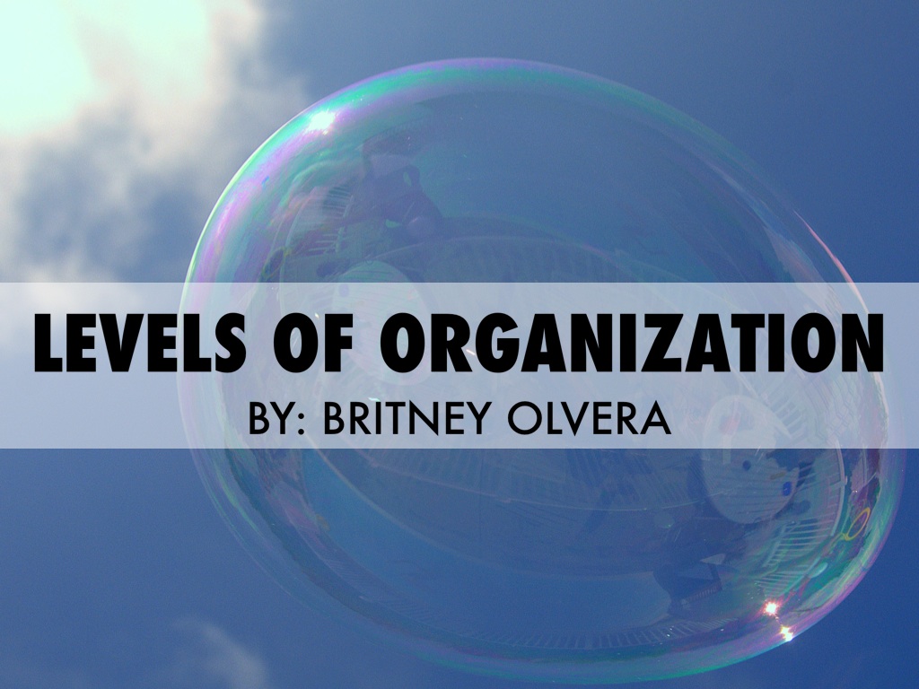 Science Lvls Of Organ.