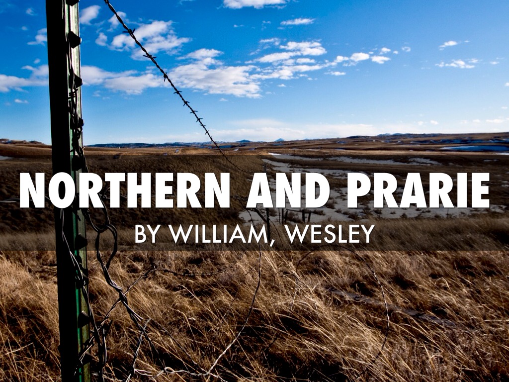 Prairie And Northern By Wesley And William