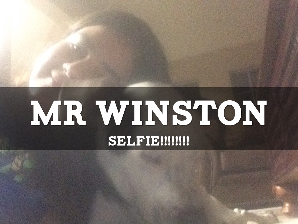 Mr Winston Our Dog