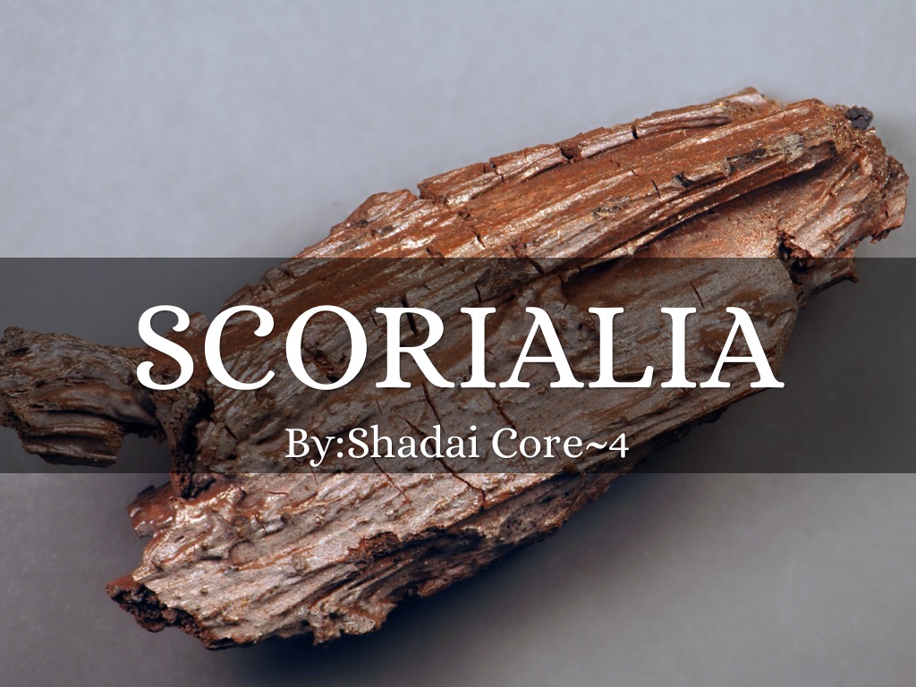 Journey Through The Ages