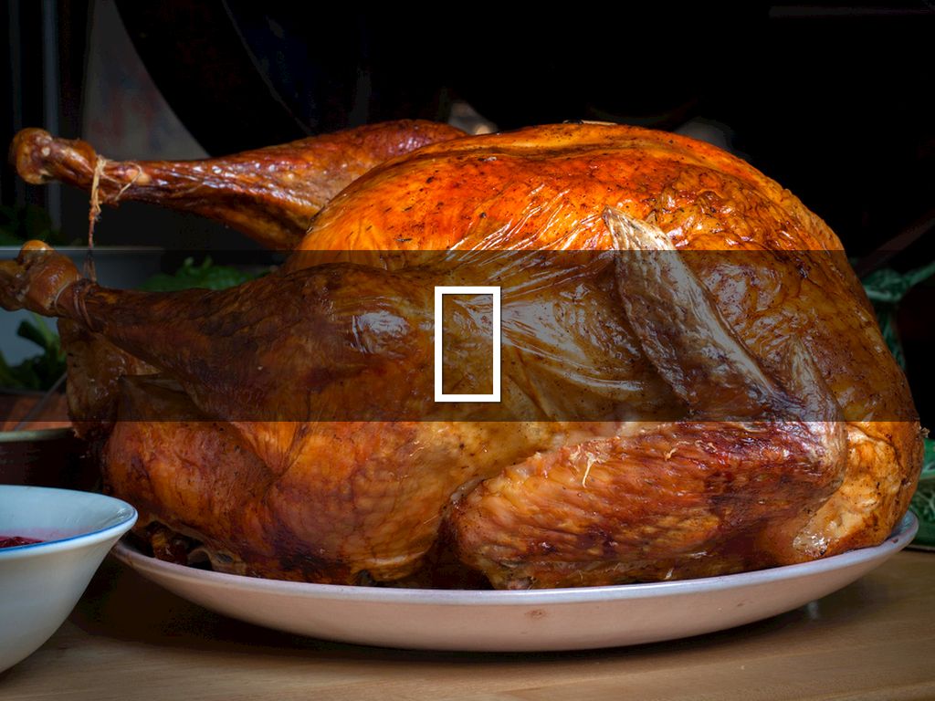 Thanksgiving 