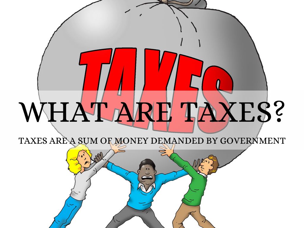 what-i-know-about-taxes-by-rylee-marshall
