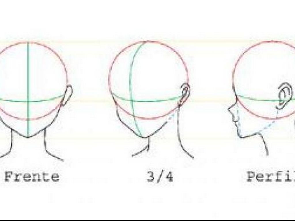 Como Dibujar Caras De Perfil Anime LA FIGURA HUMANA by clarajimenezarenas