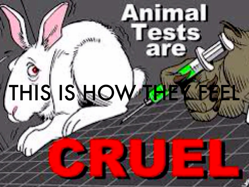 animal-testing-by-shane-dalton