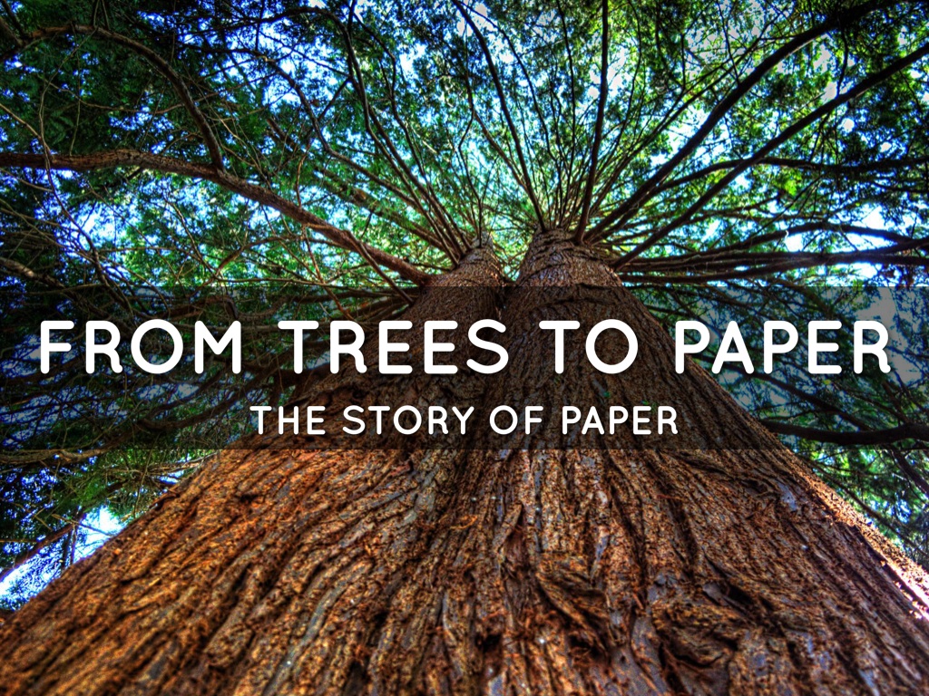 The Story of Trees to Paper by Maya Alfakhri