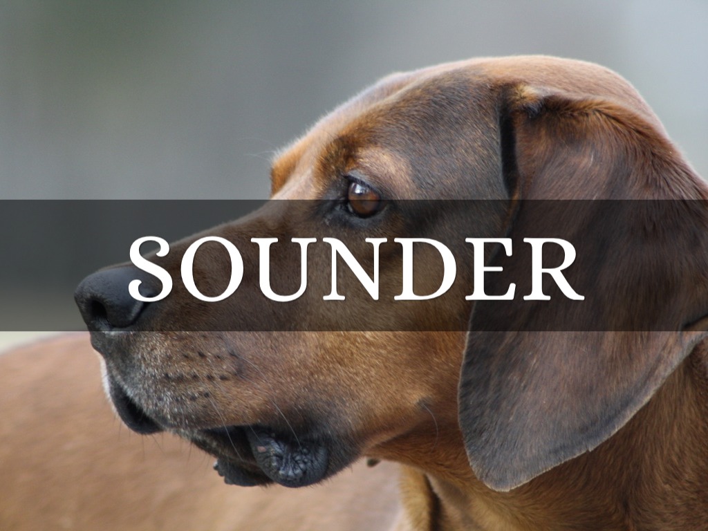 Sounder