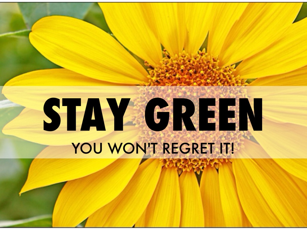 Stay Green!