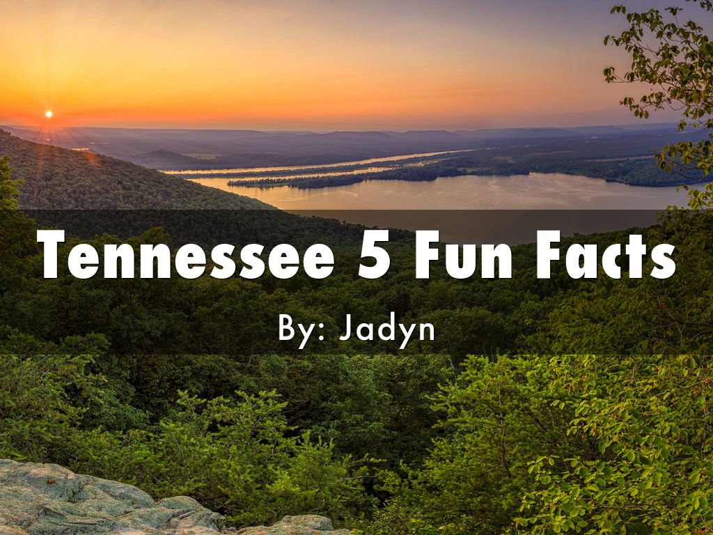 Tennessee 5 Fun Facts