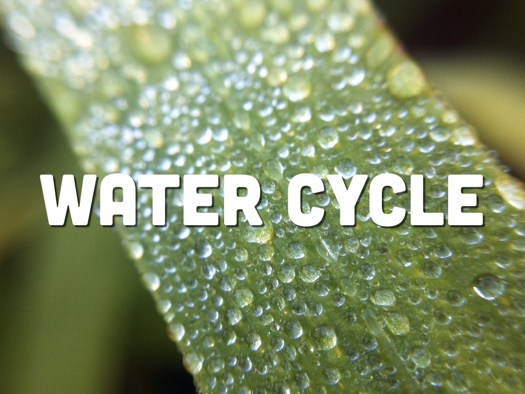 Water Cycle