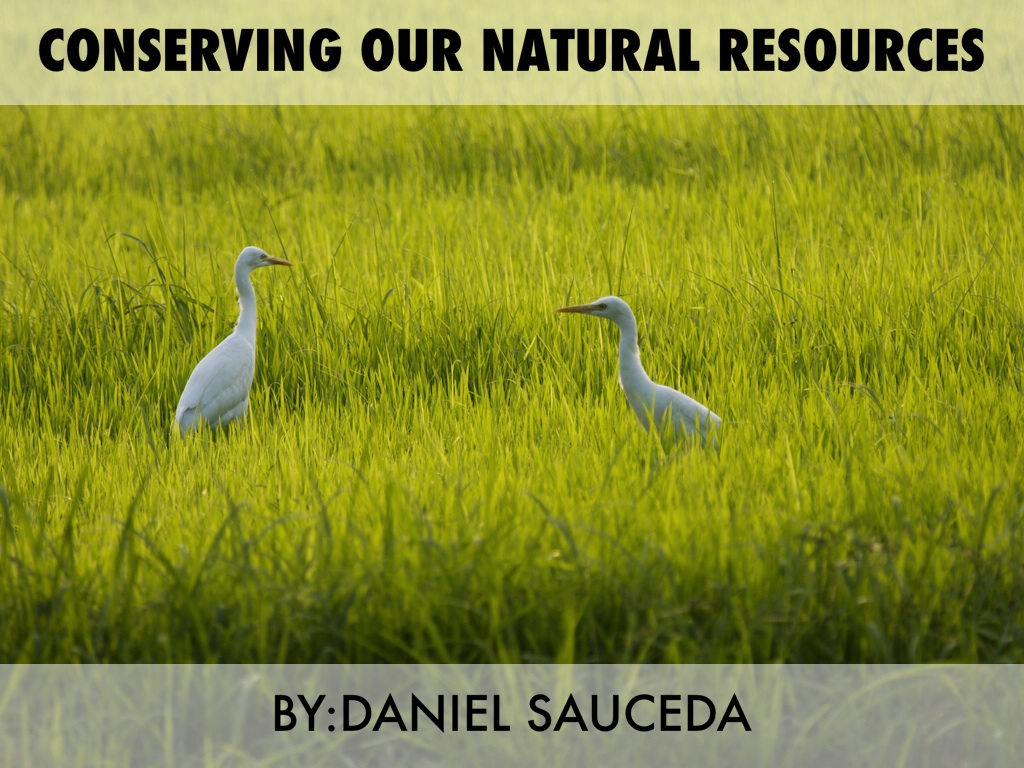Conserving Our Natural Resources