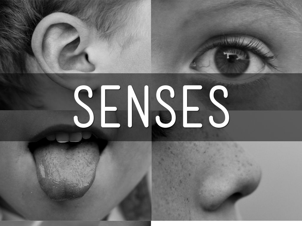 5 senses