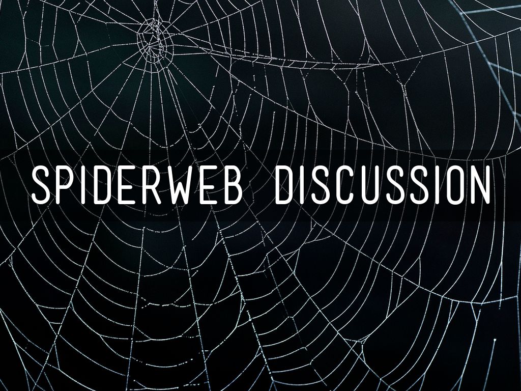 Spiderweb discussion by gabriela villanueva n