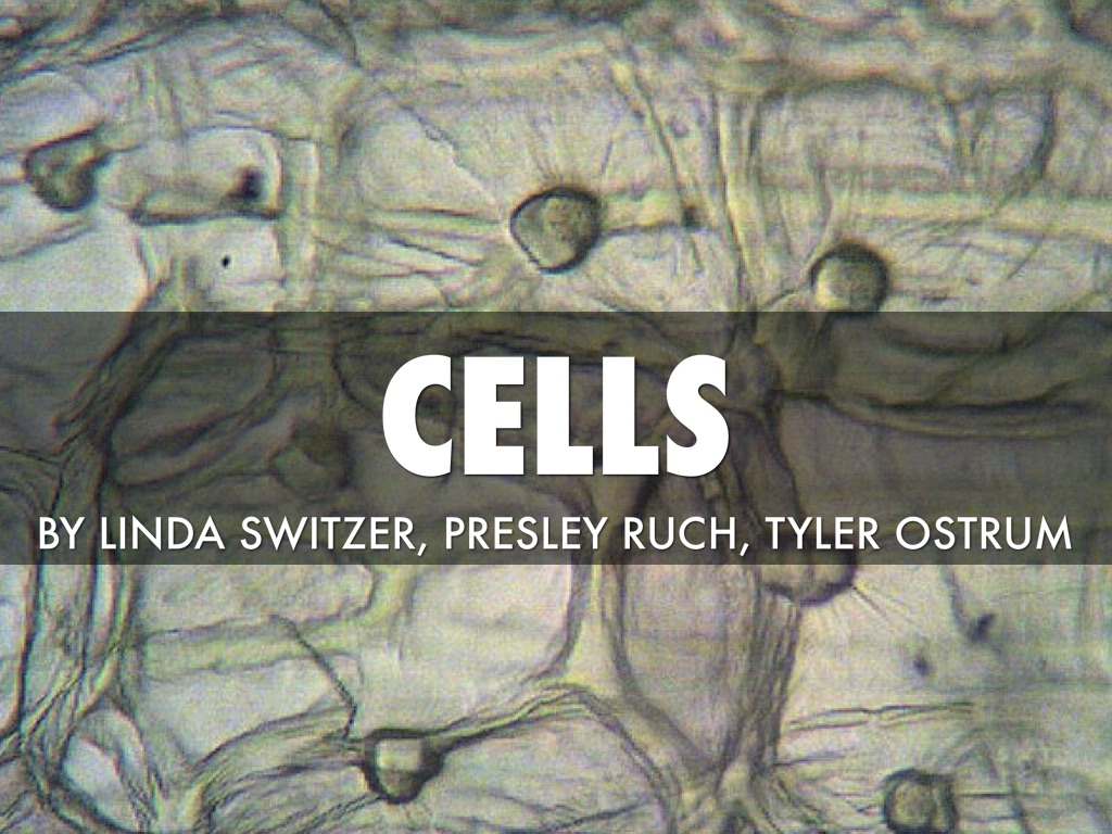 Cell Presentation