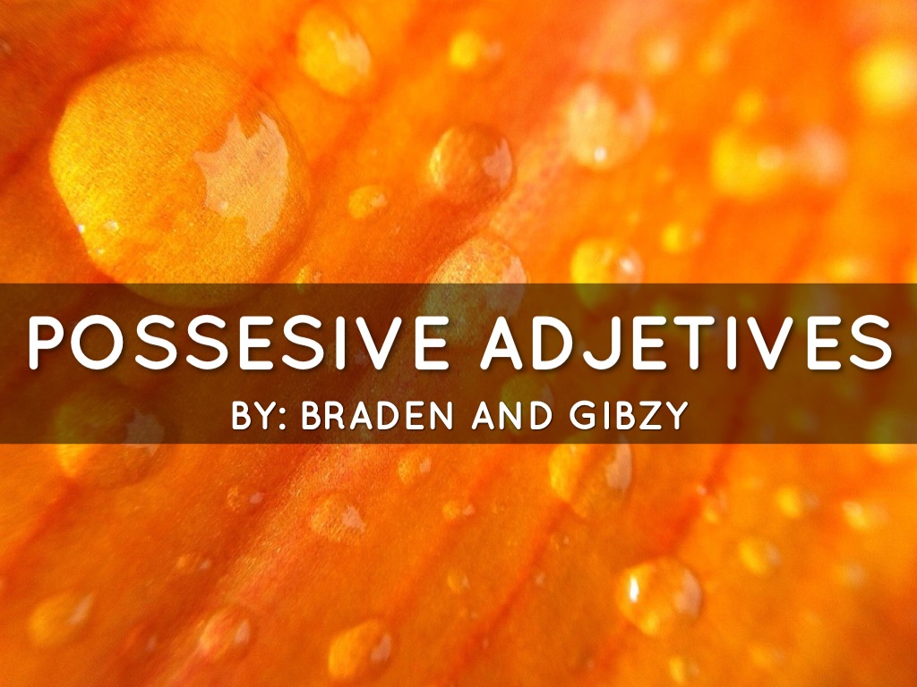 Possesive Adjetives By Braden And Gibzy