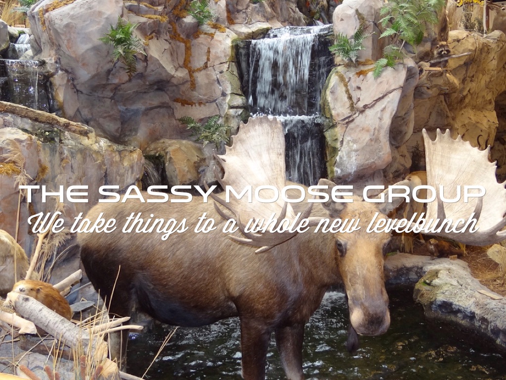 Sassy Moose