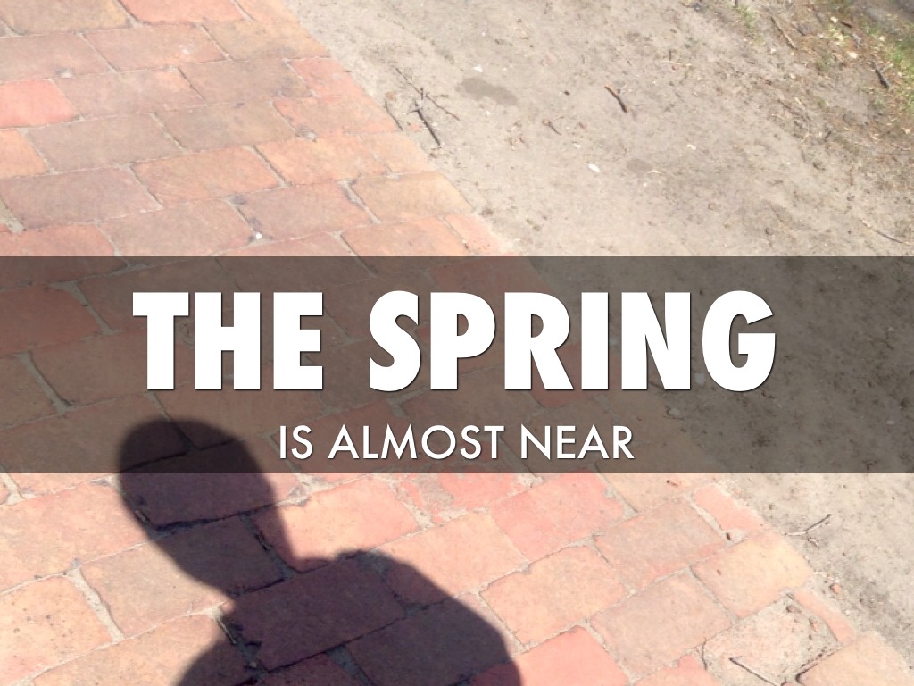 Spring Is Coming 