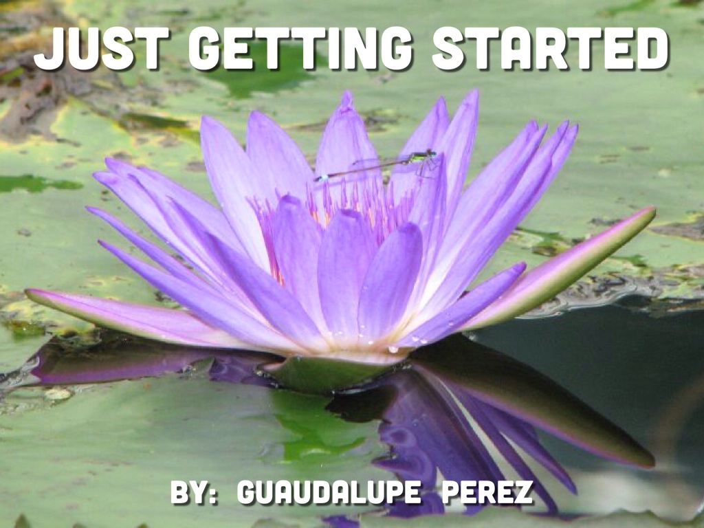 Copy of Senior Defense 