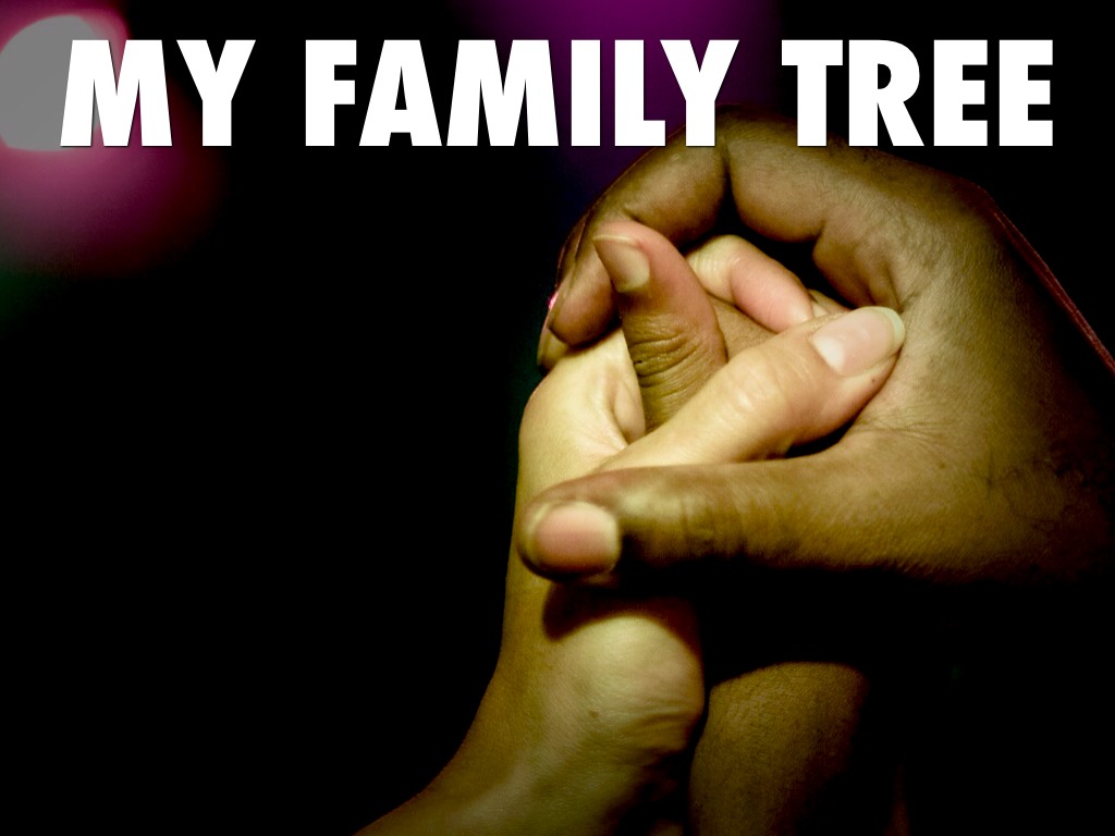 My Family Tree 
