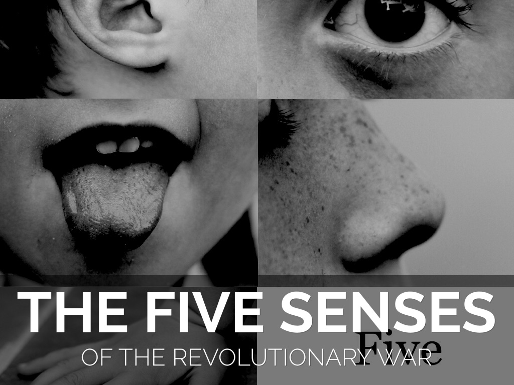 The Five Sense- Anellise Martinez 
