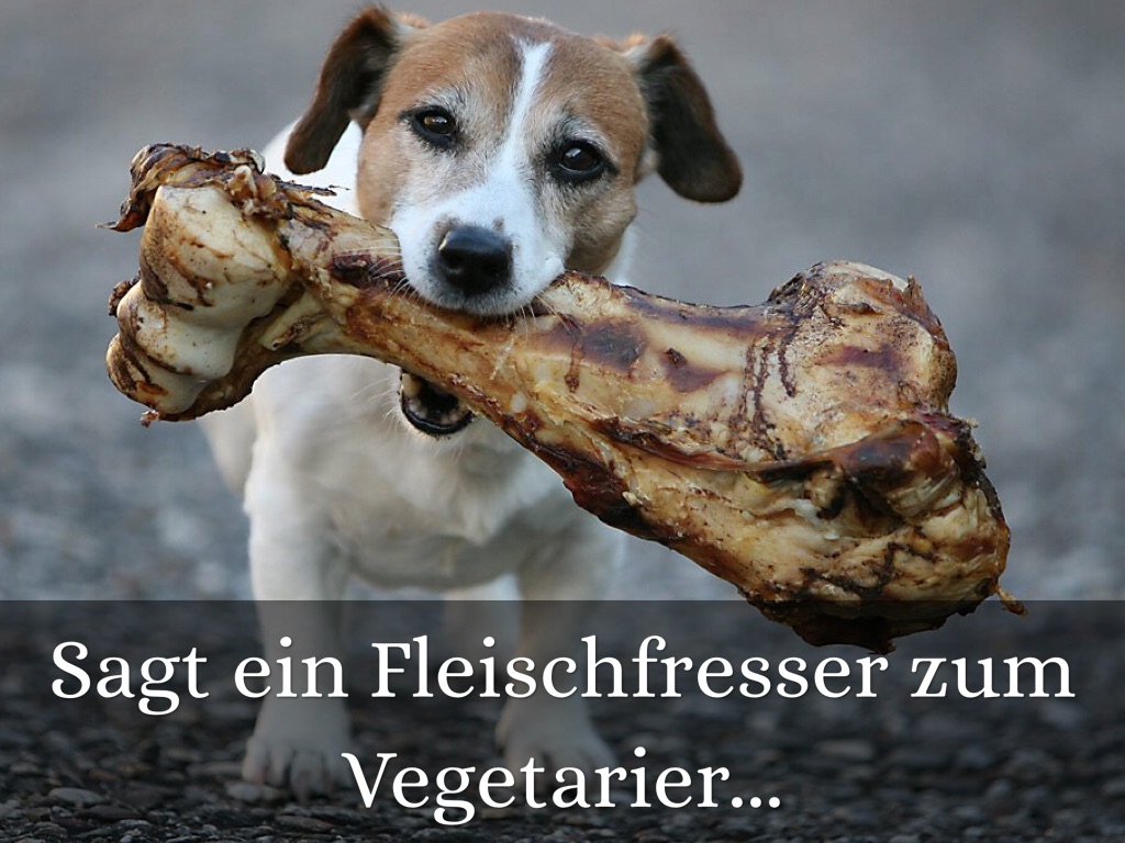 Sagt ein Fleischfresser zum Vegetarier...