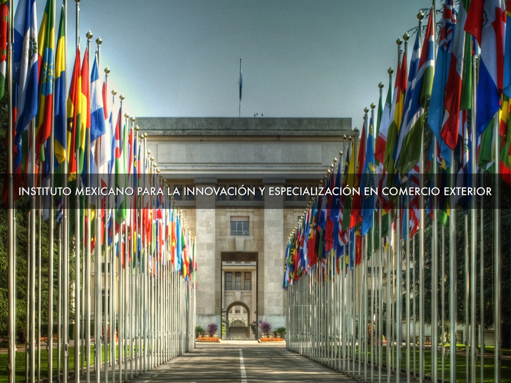 Ejecutivos en Comercio Exterior y Opera