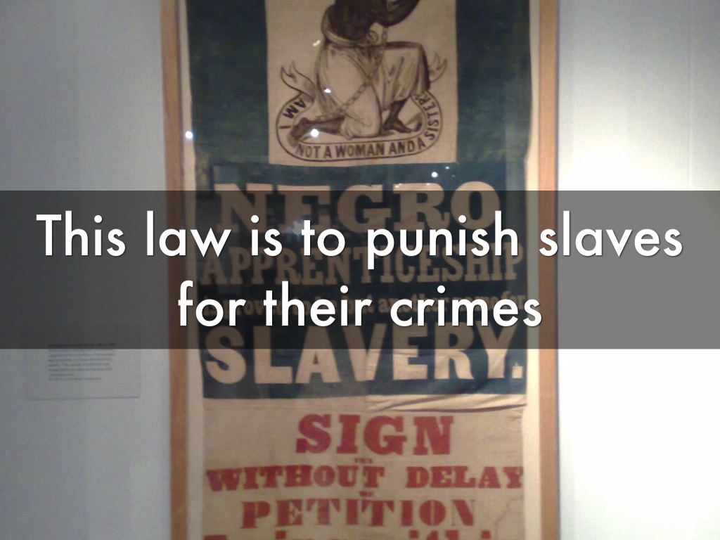 Slave Codes by Natalie McAninch