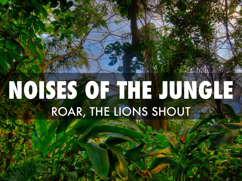 Noises Of The Jungle by mcheaito