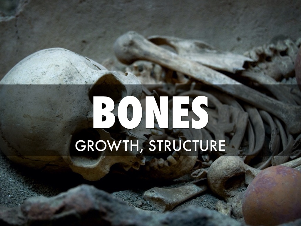Bones 