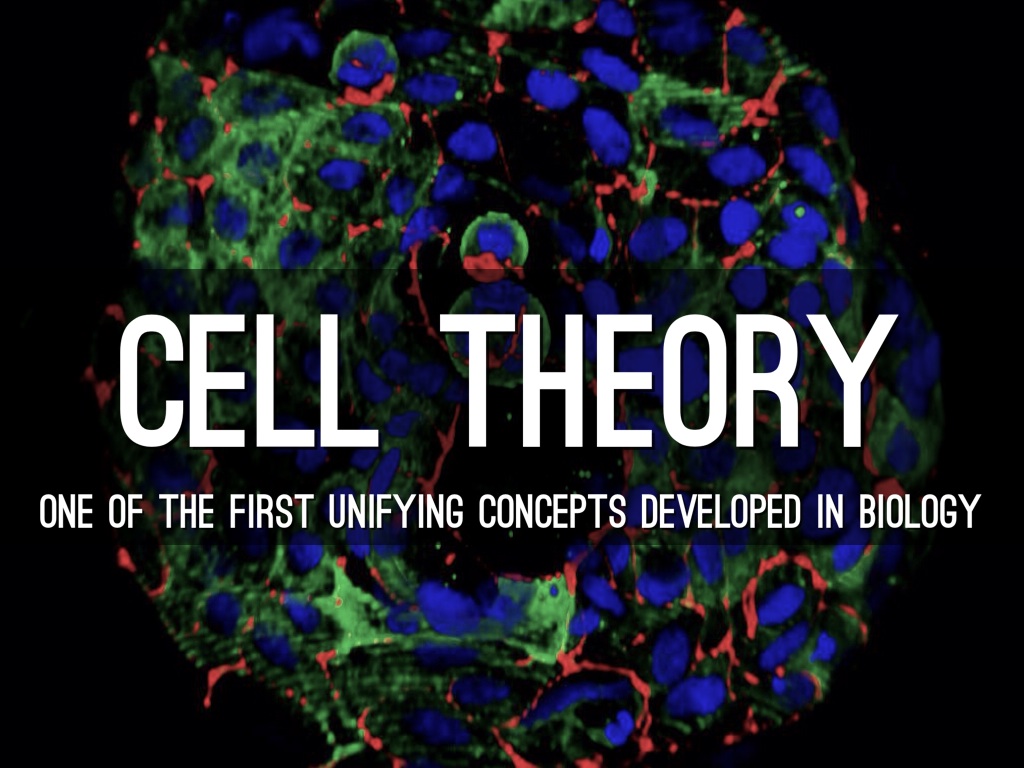 Cell Theory