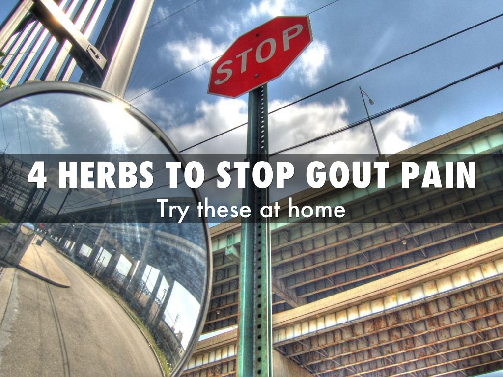 4 HERBS TO stop gout pain