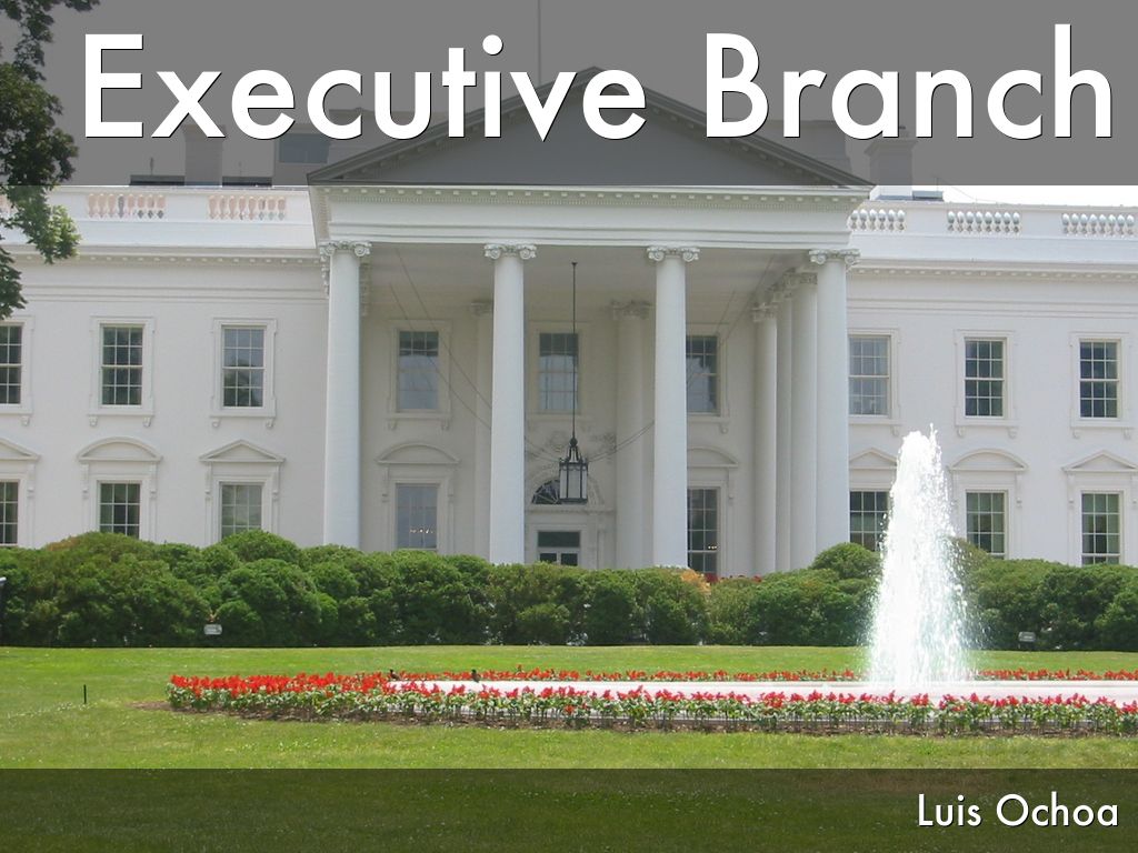Executive Branch