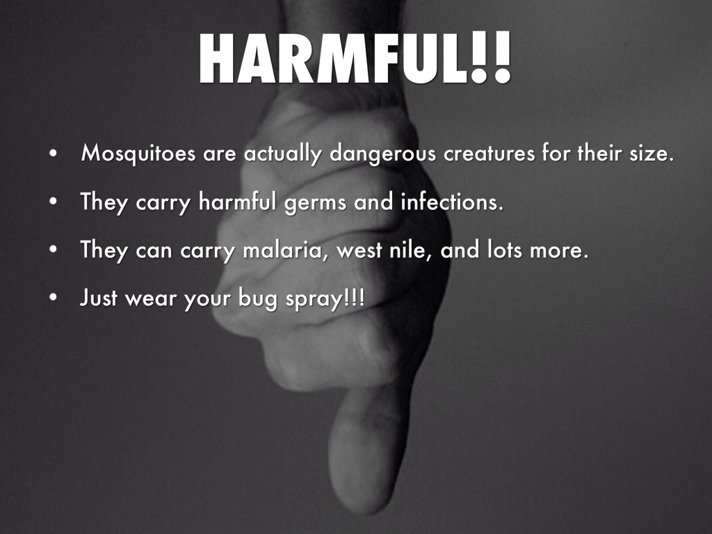 Mosquitoes by Sam Betterman