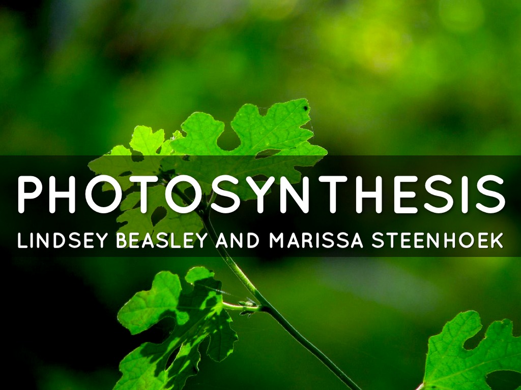 Photosynthesis