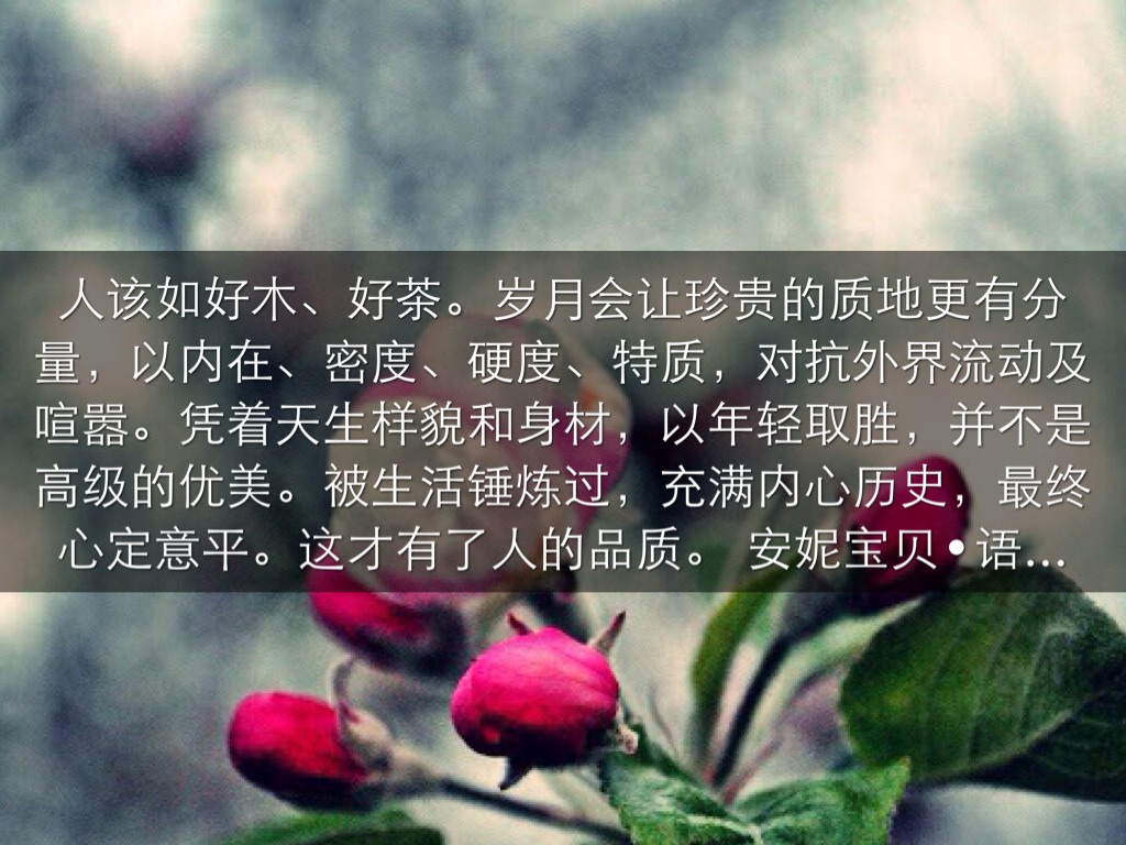 【重拾素读】肆