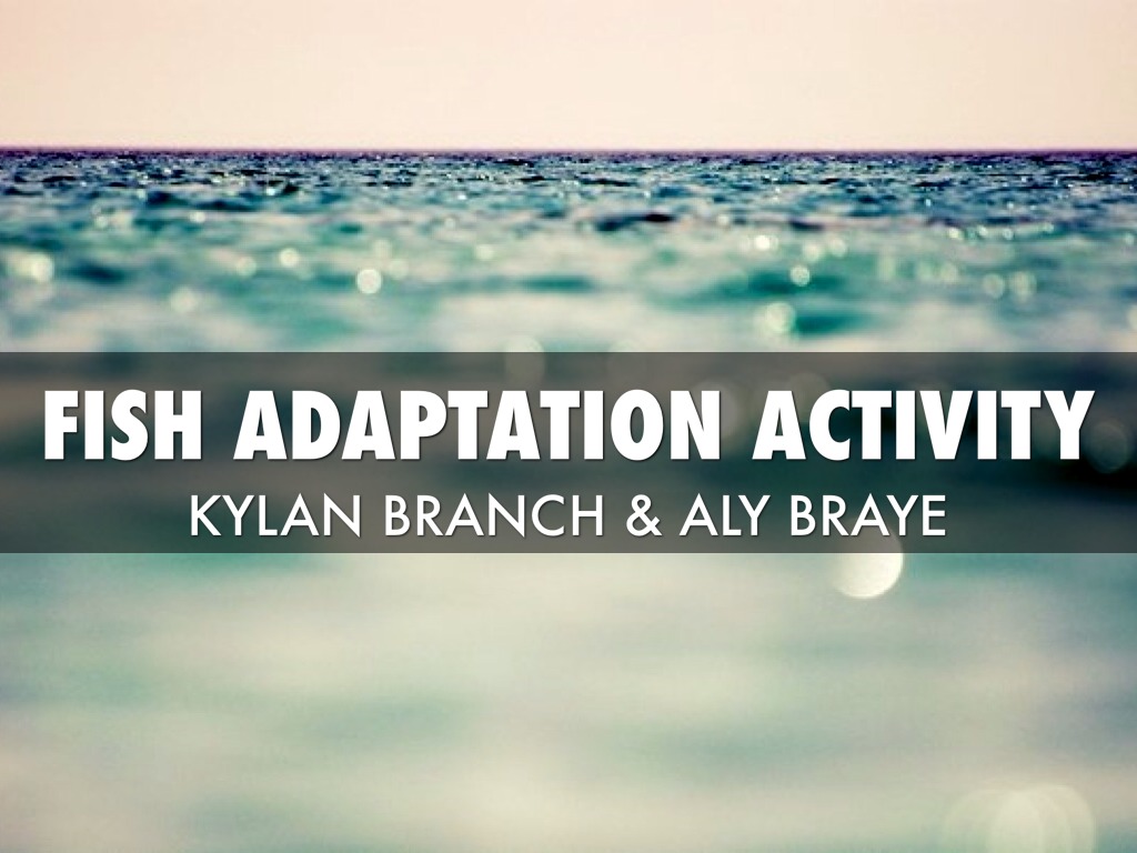 Fish Adaptation Activity by Kylan Branch